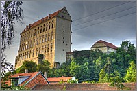 P1120584_5_6.jpg(182 KB)