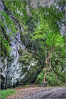 P1120627_8_9.jpg(129 KB)