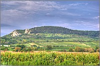 P1120683_4_5.jpg(178 KB)