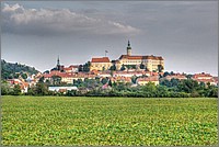 P1120701_2_3.jpg(185 KB)