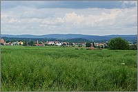 P1170739.jpg(266 KB)