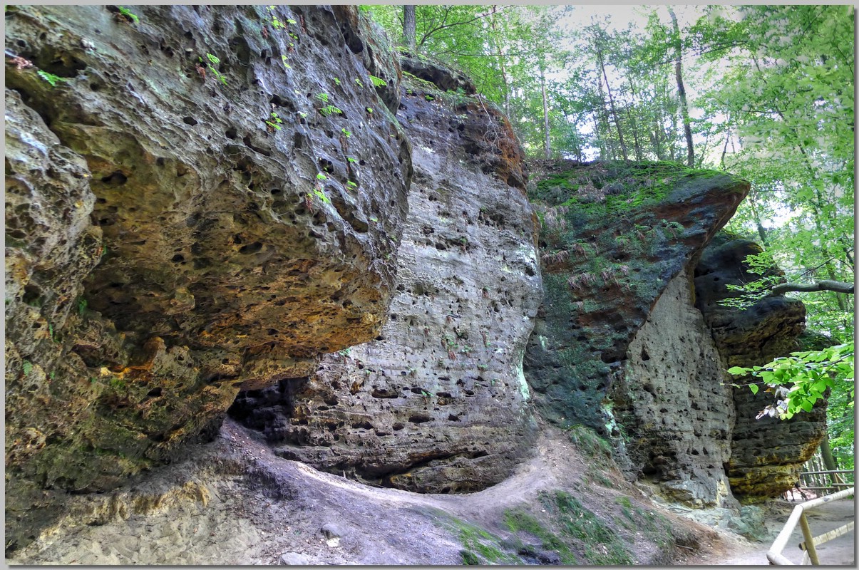 P1360816_7_8.jpg (451 KB)