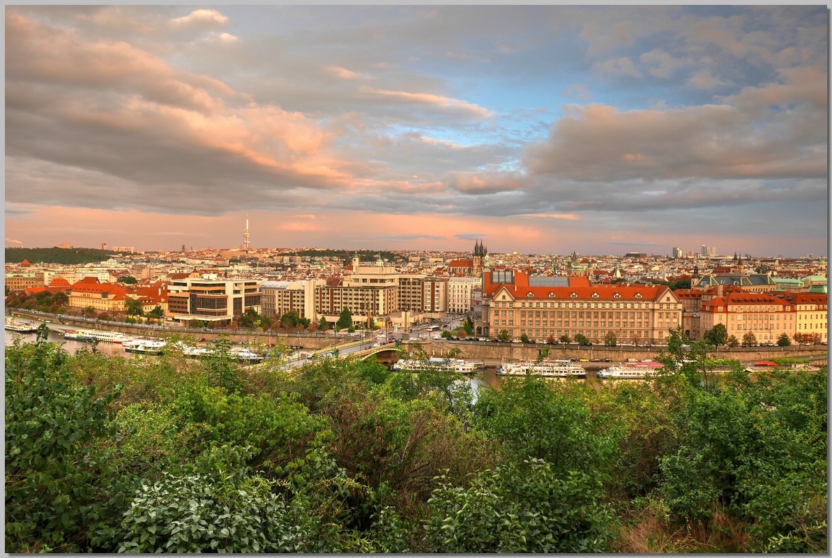 P1420116_7_8.jpg (321 KB)
