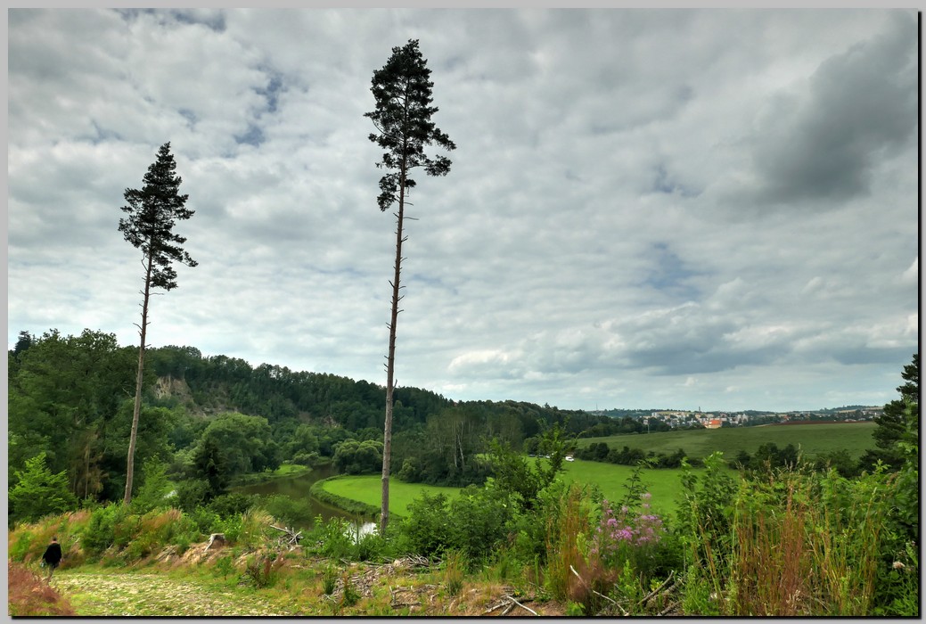 P1450090_1_2.jpg (211 KB)