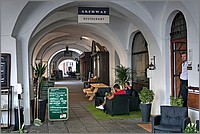 P1440797_8_9.jpg(198 KB)