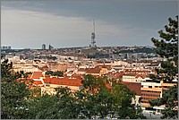 P1450577_8_9.jpg(250 KB)