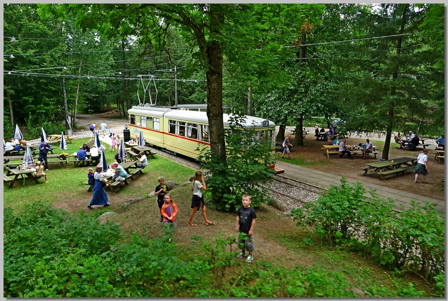 P1110394.jpg (265 KB)
