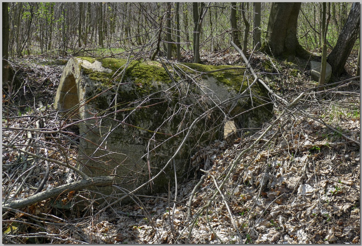 P1340350_1_2.jpg (489 KB)