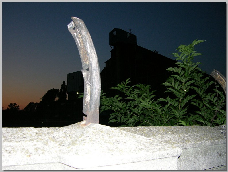 DSCN1021.JPG (107 KB)