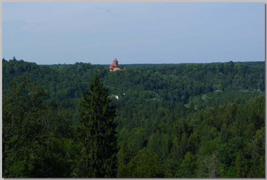 P1070160.jpg (115 KB)