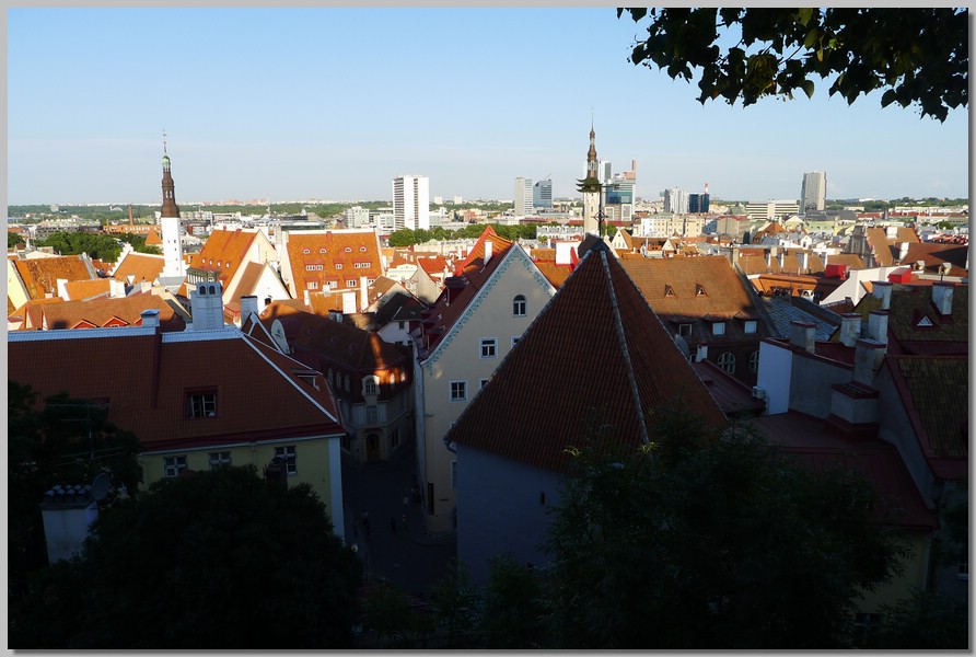 P1070471.jpg (122 KB)