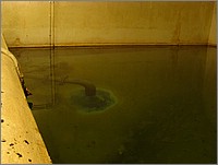 IMG_1785.jpg(66,1 KB)