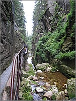 IMG_2076.jpg(121 KB)