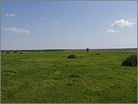 P7100693.JPG()