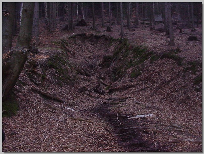 MVC-041F.JPG (115 KB)