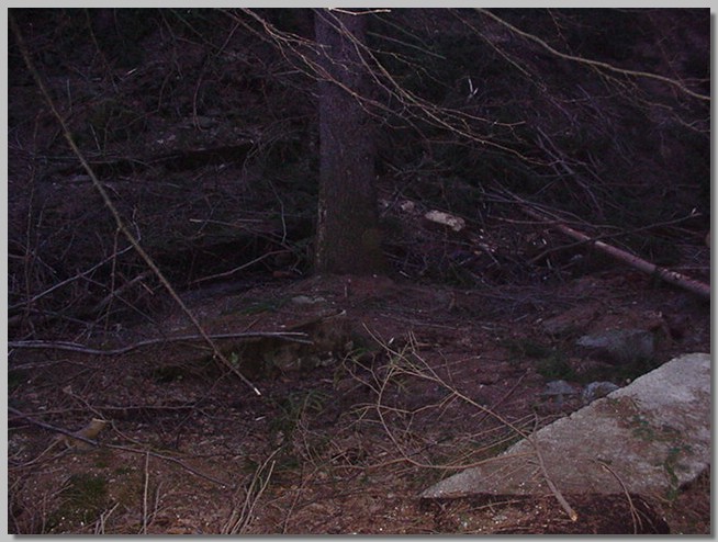 MVC-045F.JPG (94,3 KB)