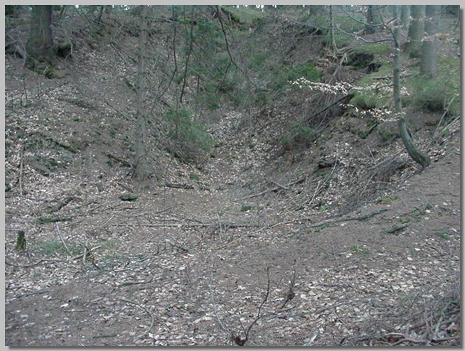 MVC-082S.JPG (132 KB)
