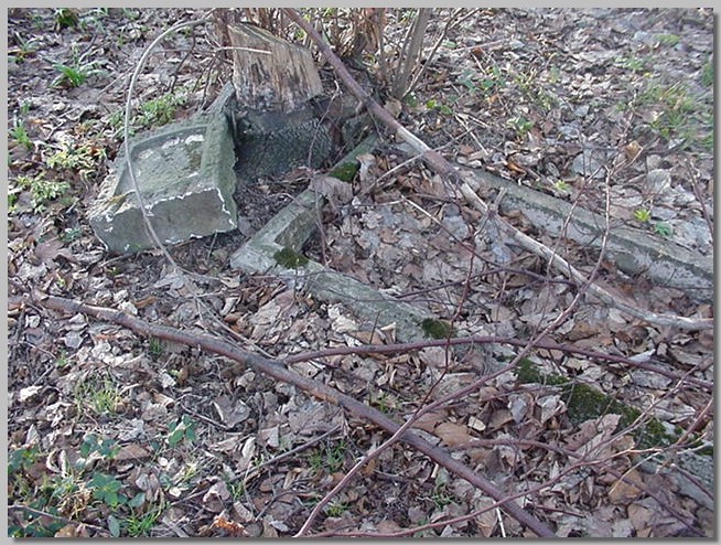 MVC-093S.JPG (167 KB)