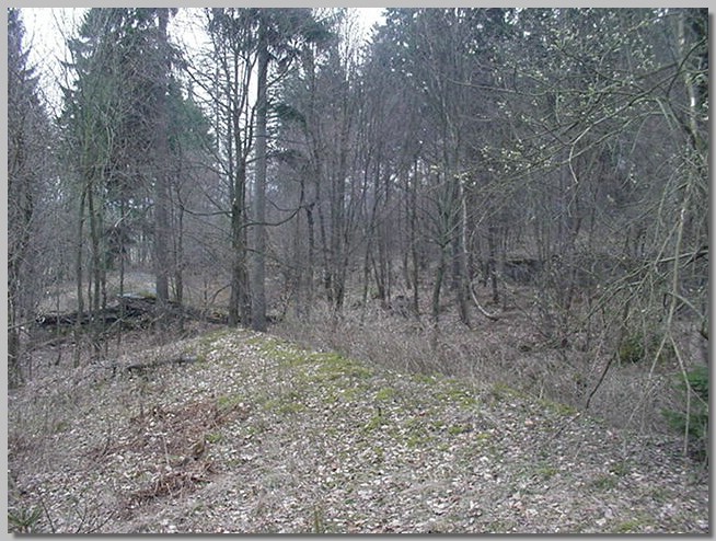 MVC-116S.JPG (140 KB)