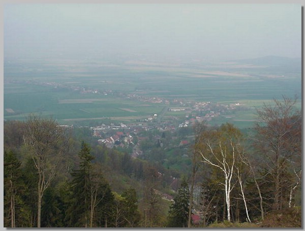 MVC-173S.JPG ()