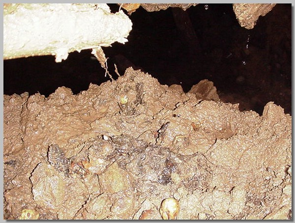 MVC-223S.JPG ()