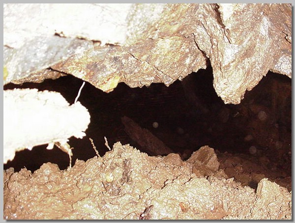 MVC-224S.JPG ()