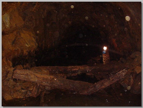 MVC-227S.JPG ()