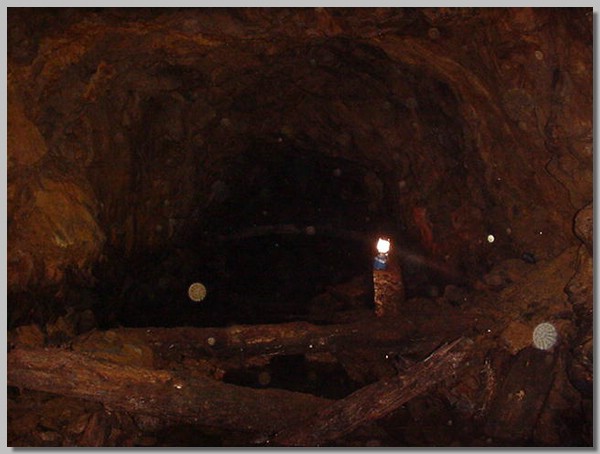 MVC-228S.JPG ()