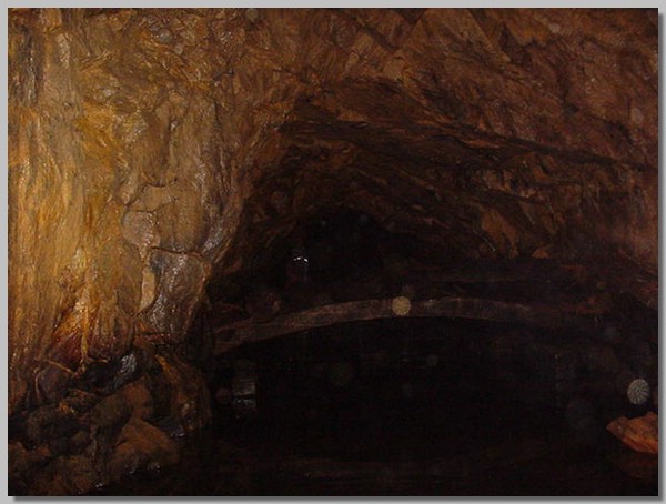 MVC-233S.JPG ()