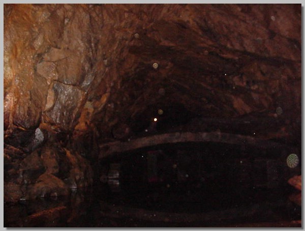 MVC-234S.JPG ()