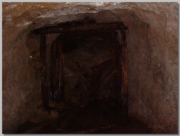 MVC-261S.JPG ()
