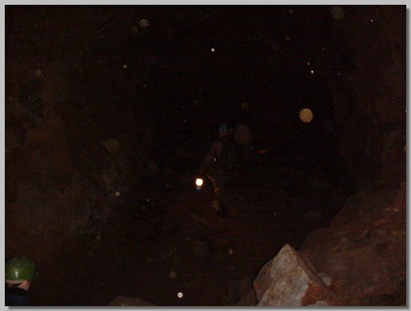 MVC-264S.JPG ()