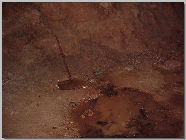 MVC-270S.JPG ()