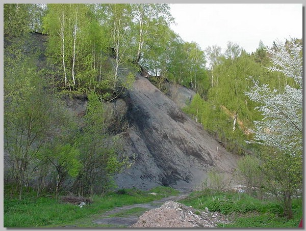 MVC-357S.JPG ()