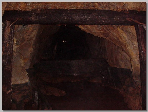 MVC-395S.JPG ()