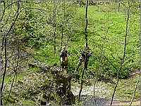 MVC-365S.JPG()