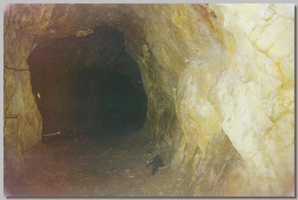 2QD0001019.JPG ()