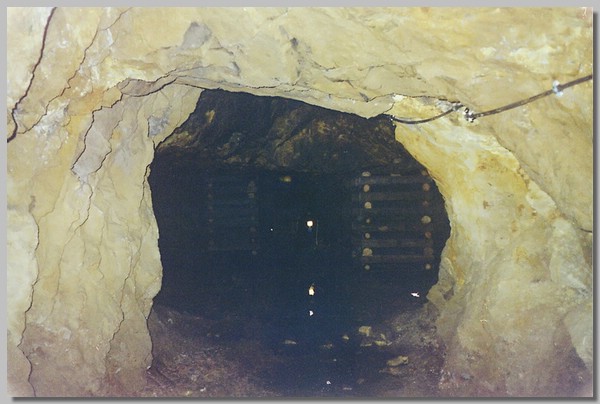 2QD0001028.JPG ()