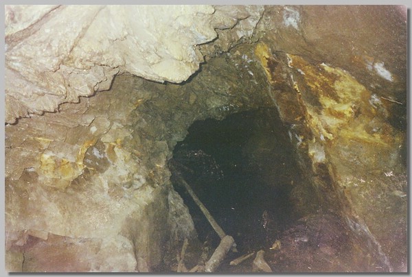 2QD0001037.JPG ()
