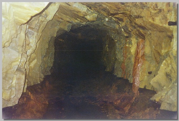 3QD0001029.JPG ()