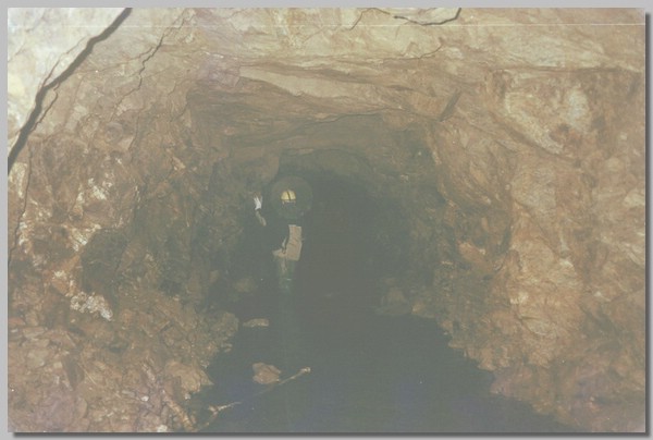 QD0011023.JPG ()