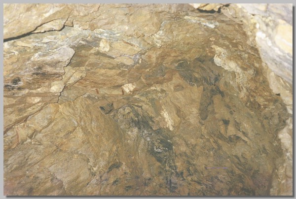 QD0011026.JPG ()