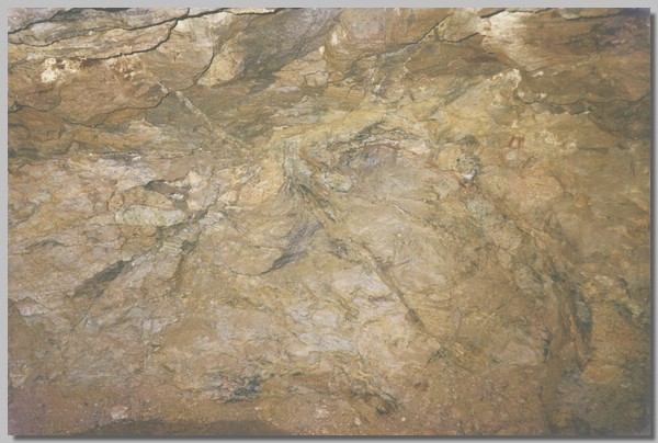QD0011027.JPG ()