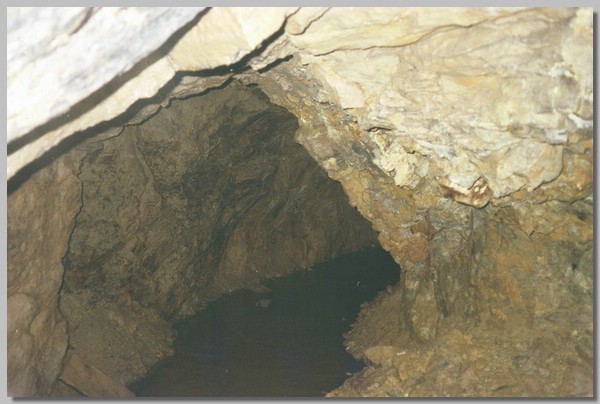 QD0011028.JPG ()