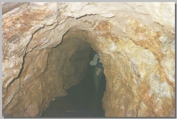 QD0011029.JPG ()