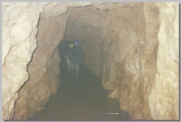 QD0011031.JPG ()