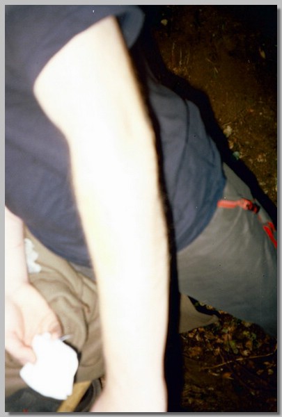 QD0011032.JPG ()
