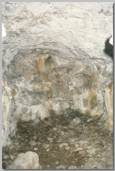 QD0011033.JPG ()