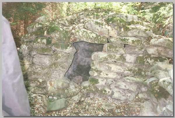 QD0011034.JPG ()