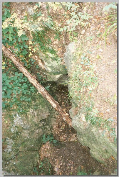 QD0021013.JPG ()